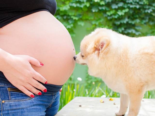 Gestante de Quando tudo começou...