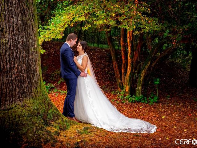 Casamentos de Casamento Barbara e Renato