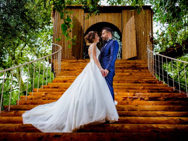 Casamentos de Casamento Patricia e André