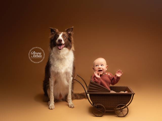 Acompanhamento do Bebê de Ravi 6 meses