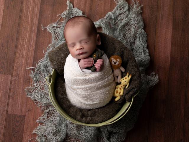 Newborn de Ensaio Newborn 