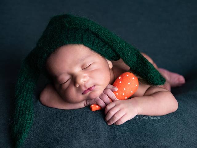 Newborn de Ensaio Newborn - Noah