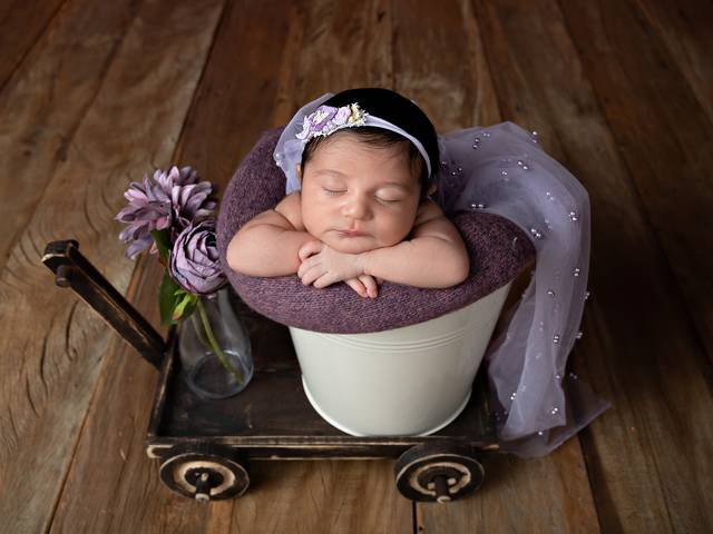 Newborn de Ensaio Newborn Catarina