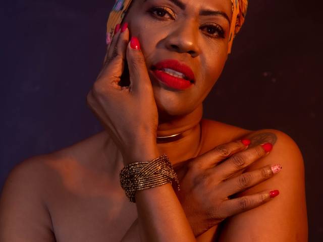 ENSAIO TEMÁTICO  de SILVANIA 