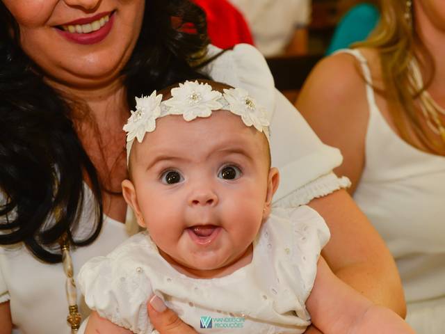 Aniversários e Outros de Elisa