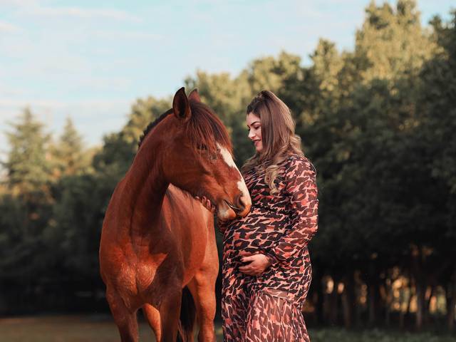 Gestante de Gestante