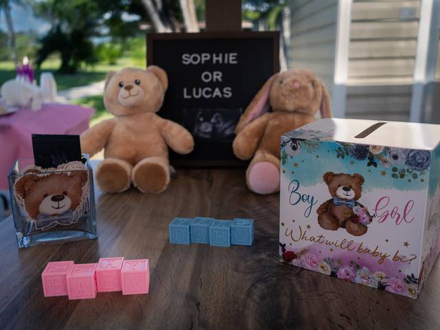 Ensaio de Familia de Chá revelação Jordana