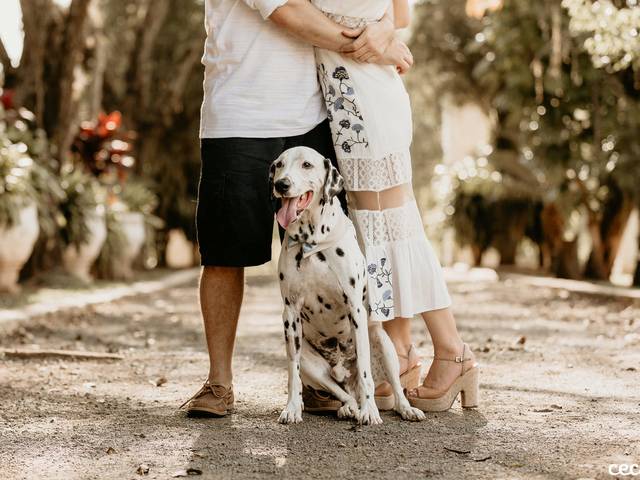 Ensaio de Casal de Ensaio de Casal no Condado Las Piedras | Karina e Júlio