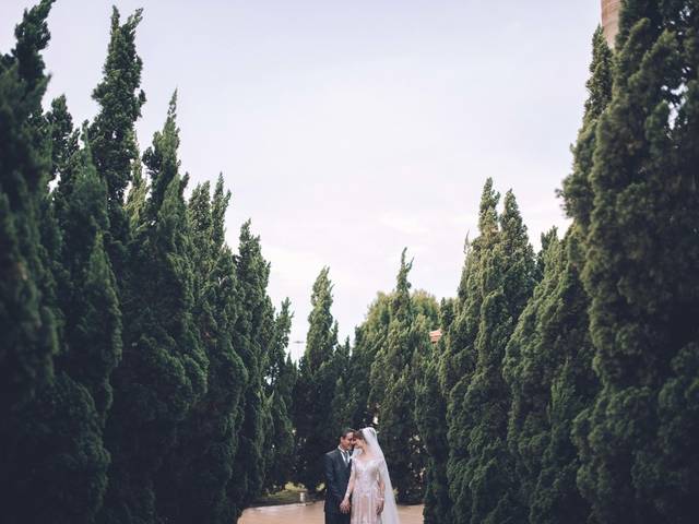 Casamentos de Ana & Junior