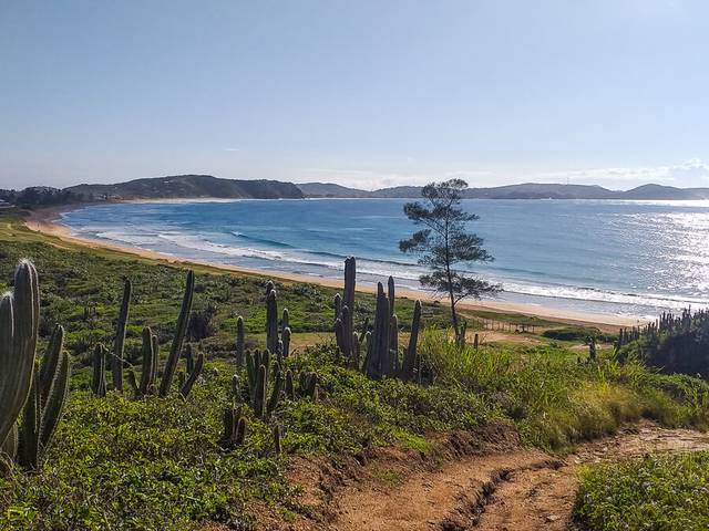 Consultoria de Implementação e Manejo de Trilhas Arqueoecológicas