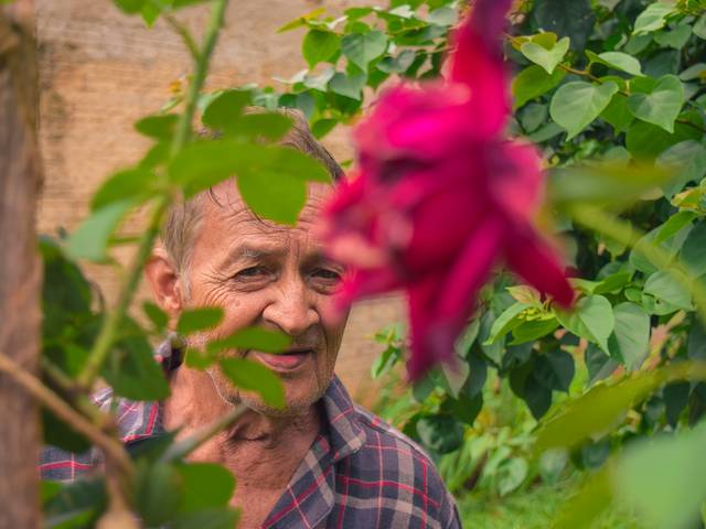 Ensaios de Meu Vozão!