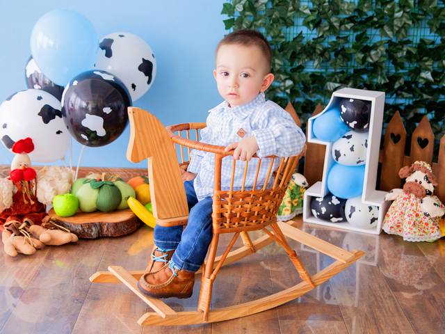 Acompanhamento Mensal de José Felipe - 12 meses