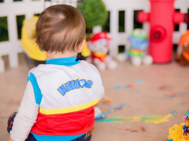 Acompanhamento Mensal de Heitor - 12 meses