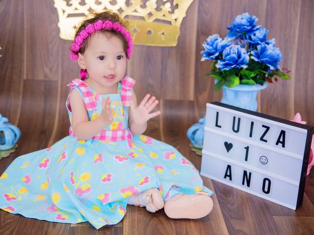 Acompanhamento Mensal de Luiza - 12 meses