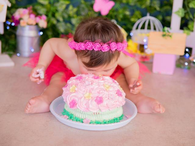 Acompanhamento Mensal de Lauren - 12 meses