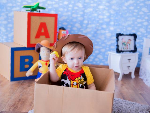 Acompanhamento Mensal de Lucas - 11 meses