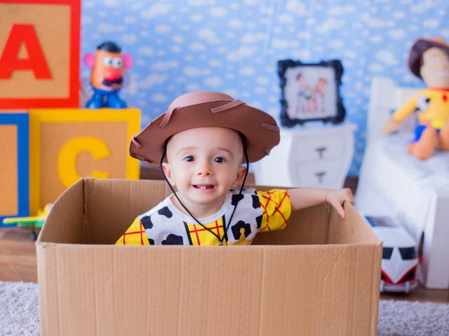 Acompanhamento Mensal de Vitor Daniel - 11 meses