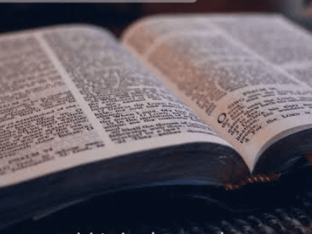 #JUNTOS SOMOS MAIS FORTES de YPIRANGA SCHOOL