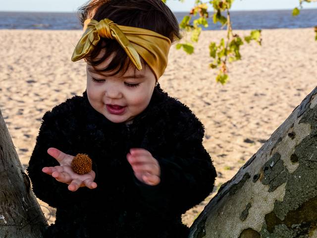 Ensaio Externo de Livia