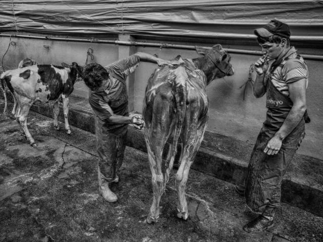 Eventos de Preparativos ExpoFrísia