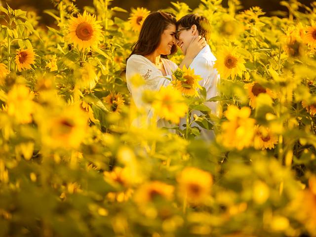 PRÉ WEDDING de Ensaio fotográfico pré casamento (pre-wedding) dos noivos Roberta e Nicolas em Holambra - São Paulo - Schmitz Fotografia - Fotógrafo de casamento no Espírito Santo