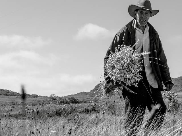 Populações Tradicionais de Apanhadores de Flores