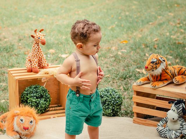 ACOMPANHAMENTO de SMASH THE CAKE - SAFARI DO MIGUEL - 12 MESES