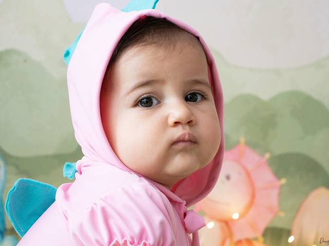 Acompanhamento do Bebê de Sessão de Acompanhamento Helena 