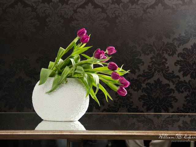 Still de Still (fotografia de produto)