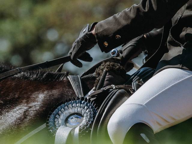 Equitación/Torneos de Sara & Chocolate