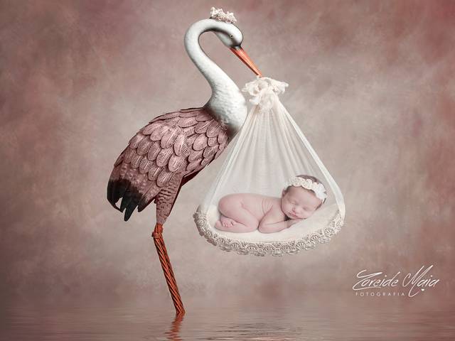 Newborn de Ensaio Newborn Laura