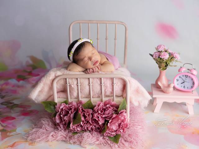 Newborn de Ensaio Newborn Isabela