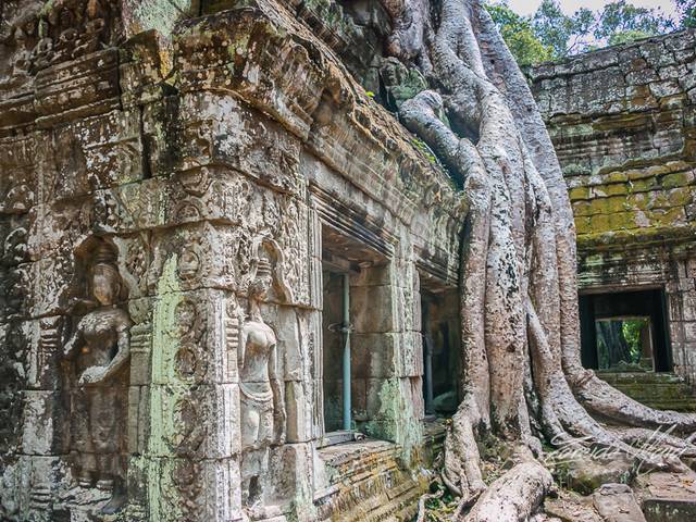 Viagens de O famoso Templo de Ta Prohm