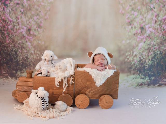 Newborn de Ensaio Newborn Theo