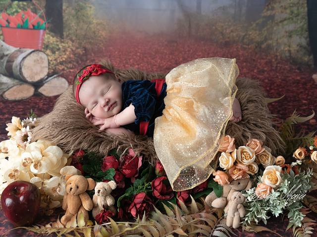 Newborn de Ensaio Newborn Liz