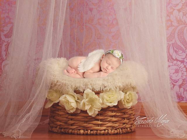 Newborn de Ensaio Newborn Melissa