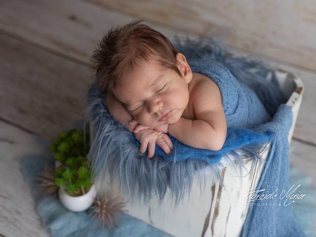 Newborn de Ensaio Newborn João Henrique