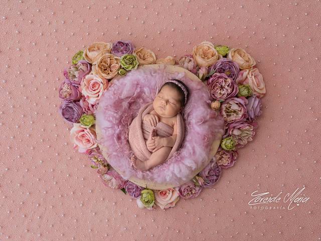 Newborn de Ensaio Newborn Giovanna