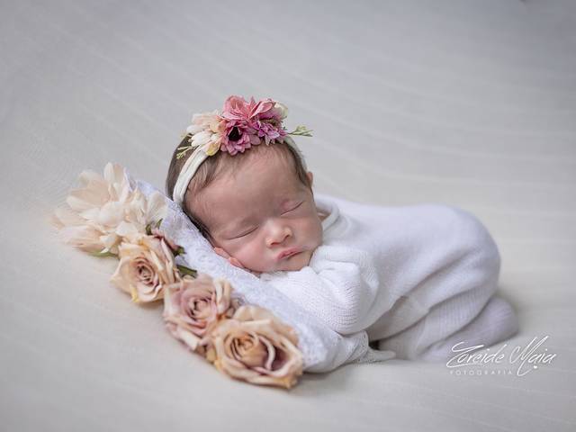 Newborn de Ensaio Newborn Elis