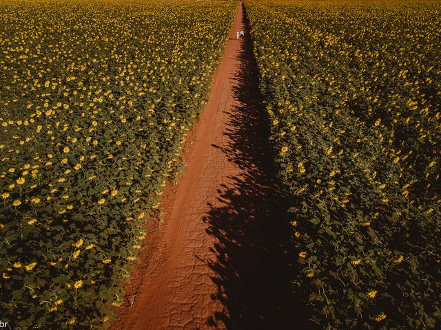Casamento de Viviane e Bruno