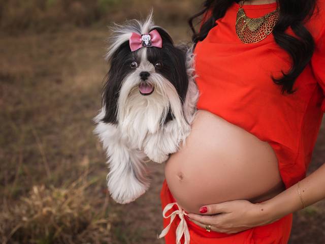 Ensaio Gestantes de Espera do Benício