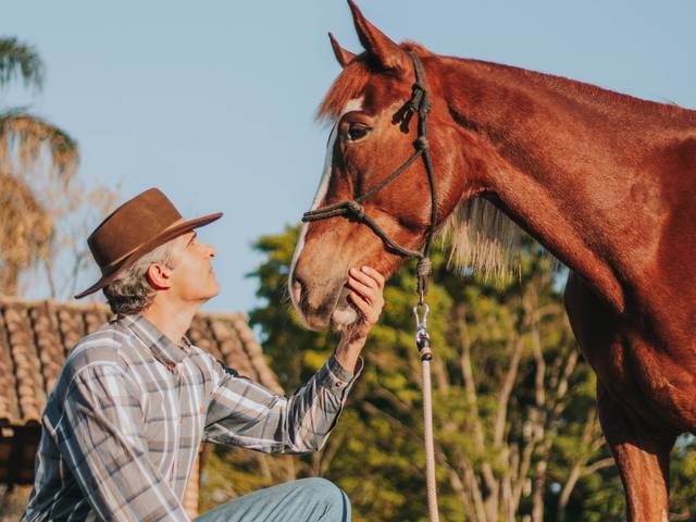 Ensaio externo de Ensaio - Ulysses 