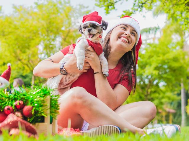 Ensaio externo de Ensaio de Natal - Carol e Mary Jane 