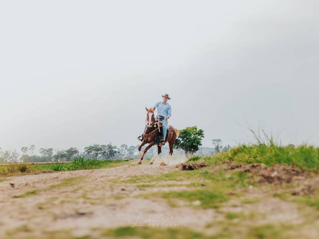 Ensaio externo de Ensaio - Ulysses 