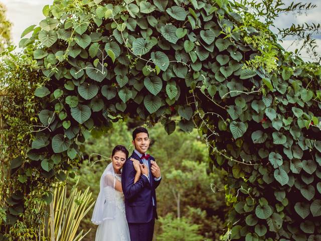 Casamentos de Casamento Amanda & Alef 