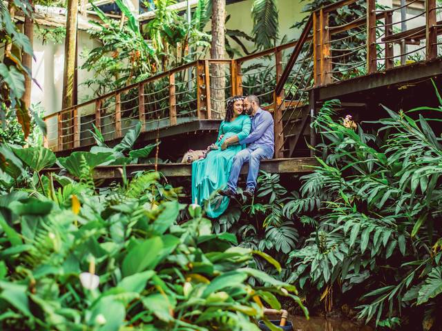 Gestante  de Ensaio de Gestante 