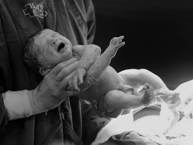 Nascimentos de Sofia Chegou!