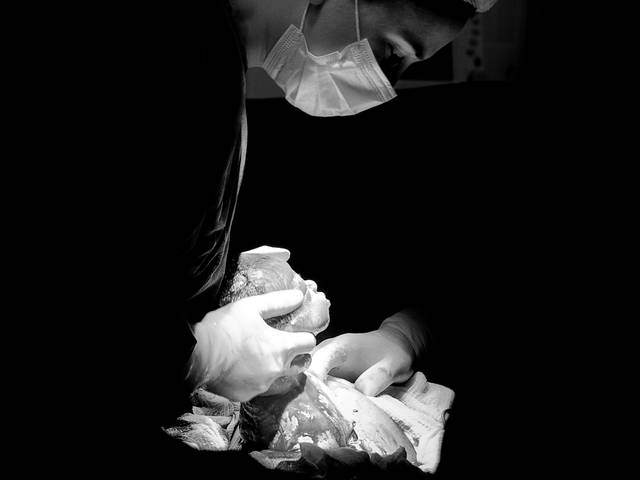 Nascimentos de Joaquim chegou!