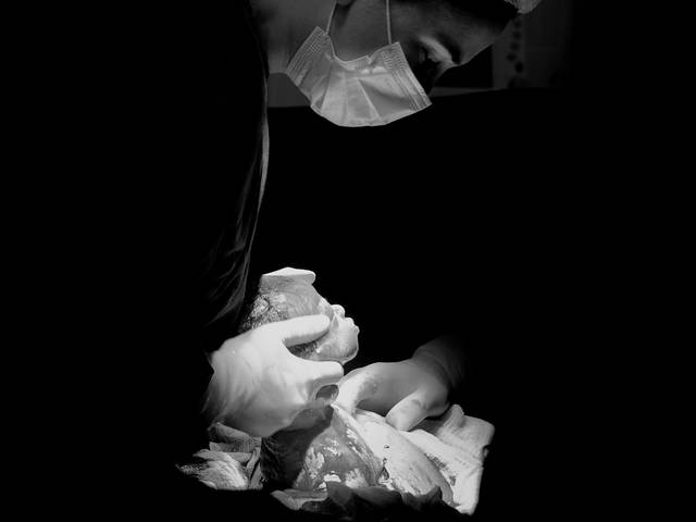 Nascimentos de Inácio chegou!