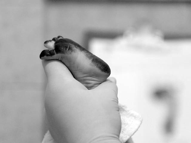 Nascimentos de Alícia chegou!